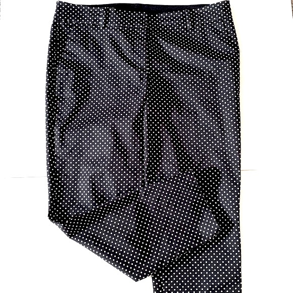 Ann Taylor Cambridge Corp Navy White Polka Dot, Size 10 - Picture 7 of 8